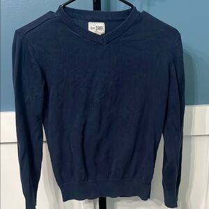 The Children's Place Blue V-Neck Knit